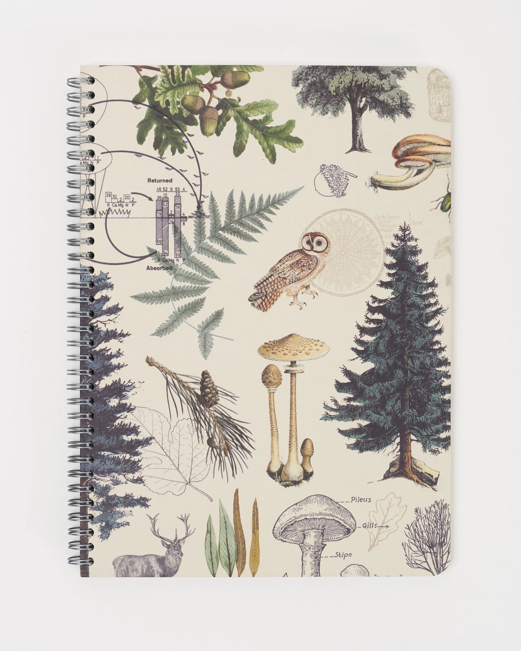 Into the Forest Spiral Notebook